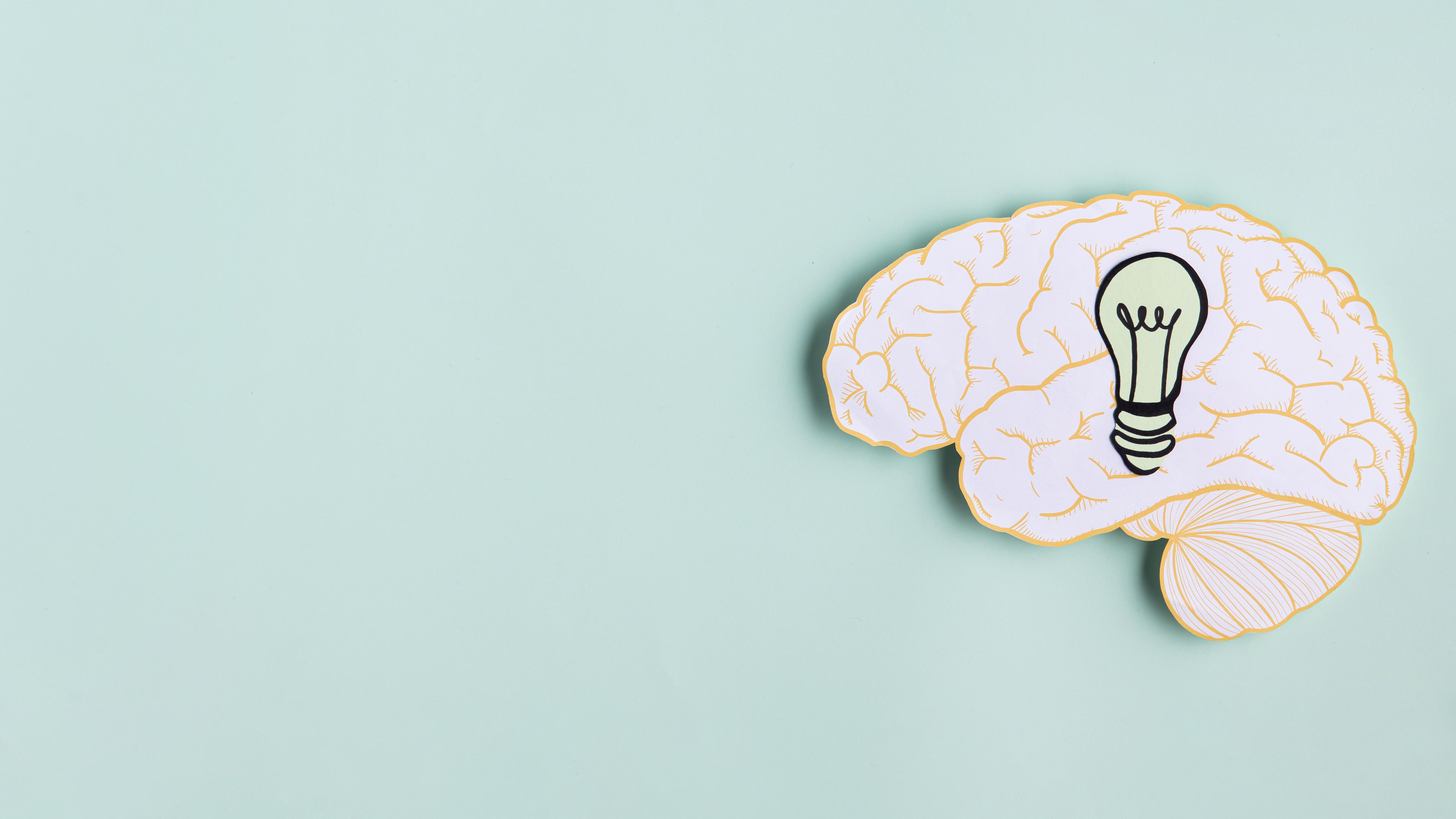 กิจกรรมพัฒนาสมอง